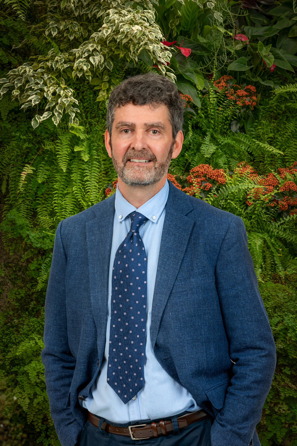 David Robertson, Consultant